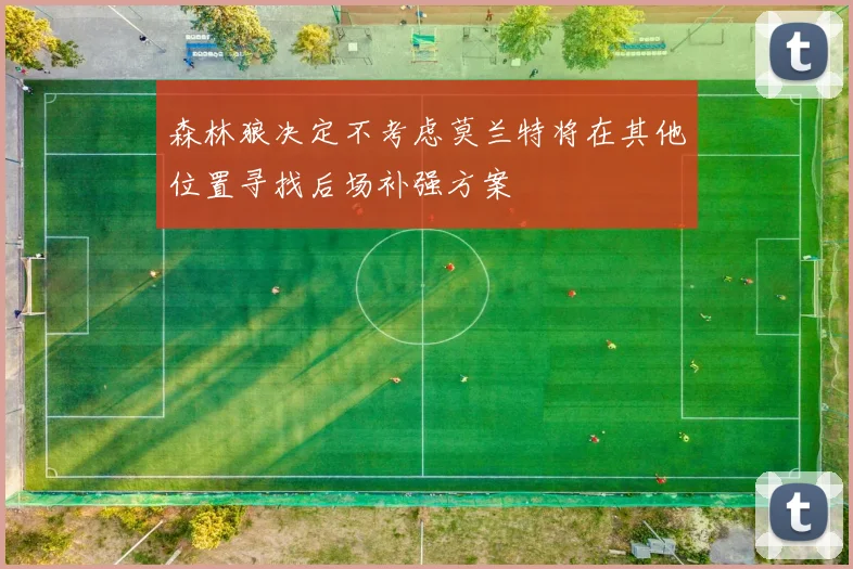 森林狼决定不考虑莫兰特将在其他位置寻找后场补强方案