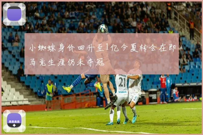 小蜘蛛身价回升至1亿今夏转会在即马竞生涯仍未夺冠
